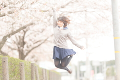 春はピンク色