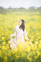 菜の花
