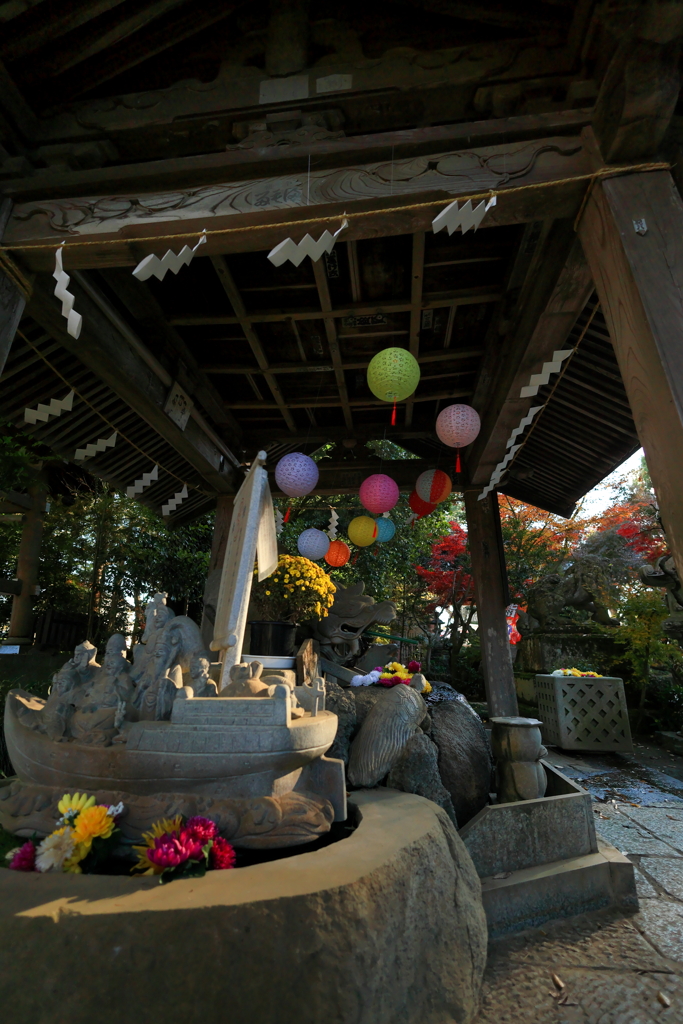 下妻大宝八幡宮　菊祭り