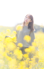 毎年恒例の菜の花畑