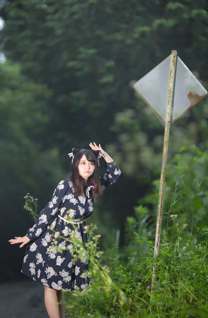 にゃんにゃん