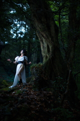 聖伝-RG VEDA-