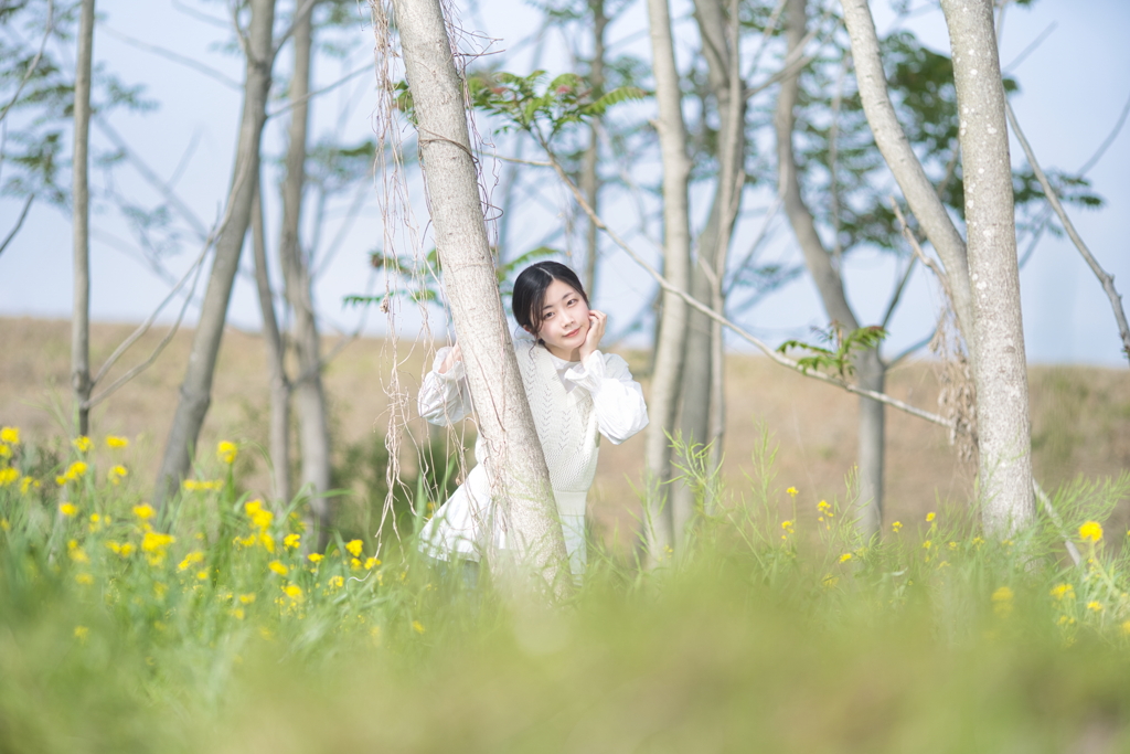 春の森