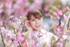 桜色の成人式