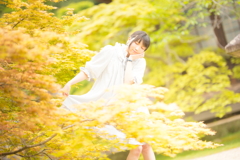 春の紅葉