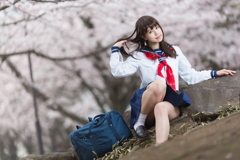 桜