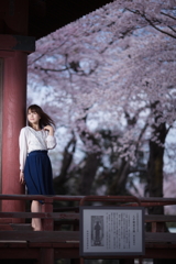 桜咲く舞台