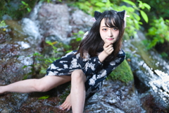 山奥の水辺で考える小動物