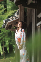 浴衣2021 夏