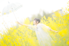 春の温もり