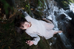 樹海で見上げる