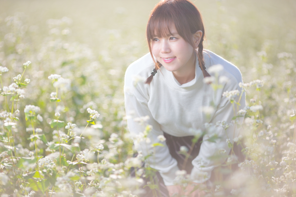 蕎麦の花