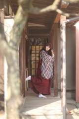 はいからさん☆