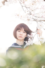 春と文学少女