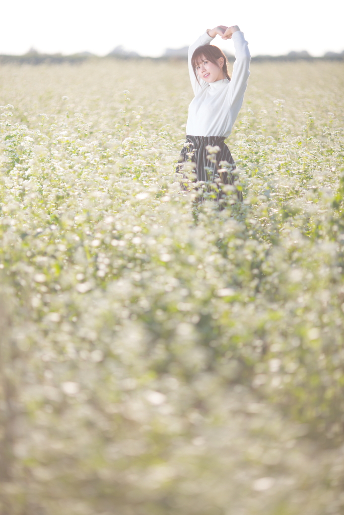 蕎麦の花