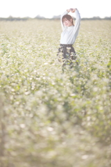 蕎麦の花