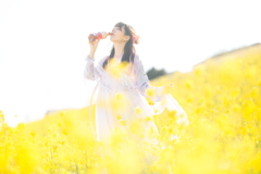 鮮やかな黄