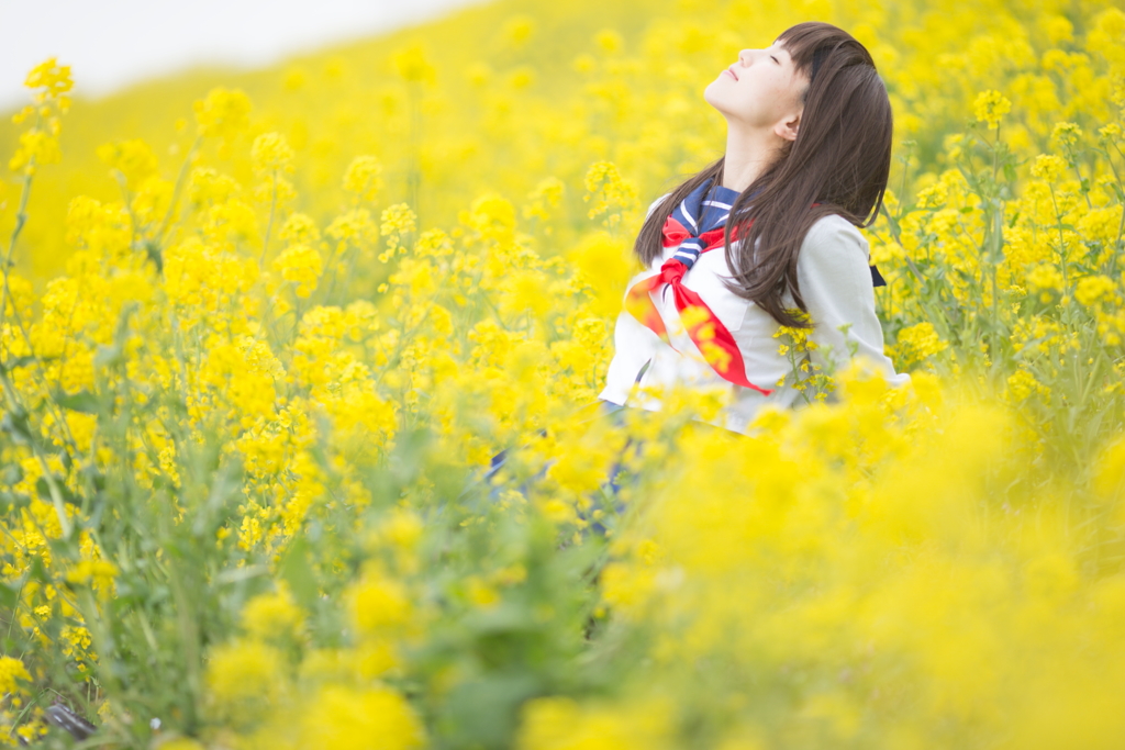 春の足音