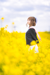 菜の花日和