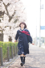 春と文学少女