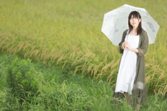 雨の日の田舎道