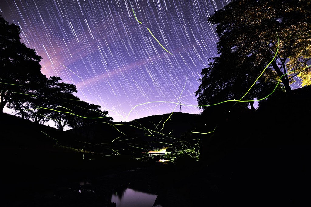 地上の星と空の星