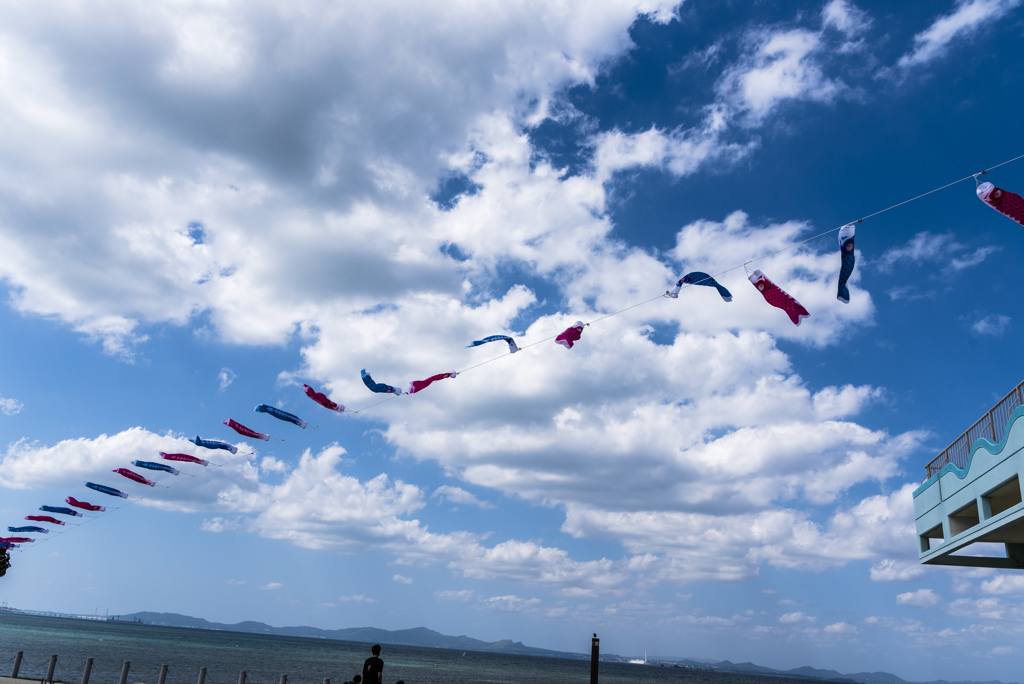 空を泳ぐ