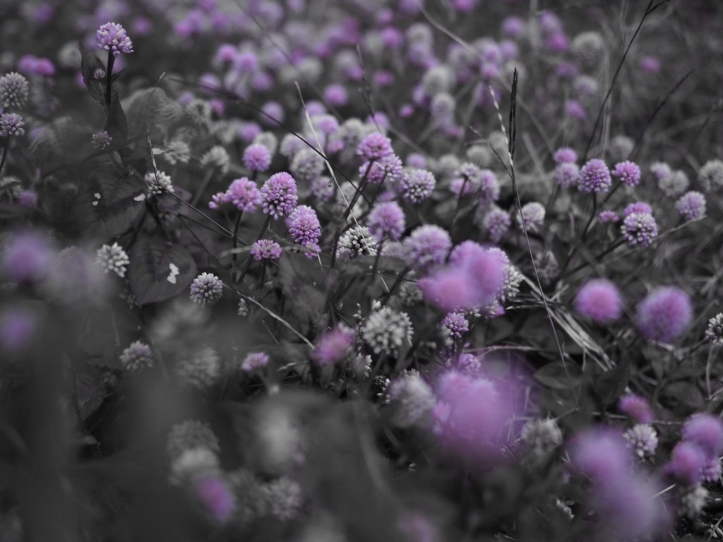 花