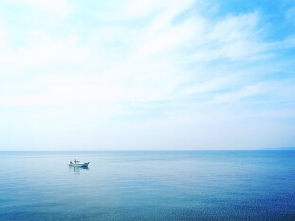 海