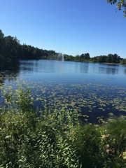 Lake in the Nybro 