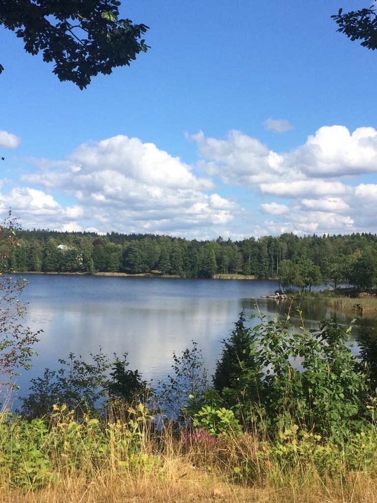 Växjö sjön Växjö lake