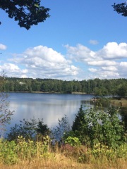 Växjö sjön Växjö lake