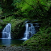 水と緑の段段々