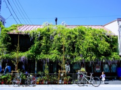 下町の洋菓子屋