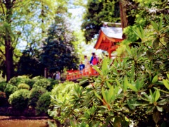 初夏の神殿