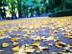 秋の終わり