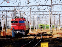 EF81-81