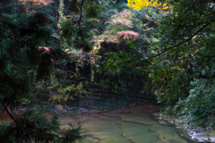 養老渓谷