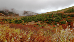 裏磐梯浄土平