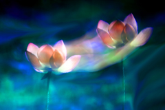 幻影