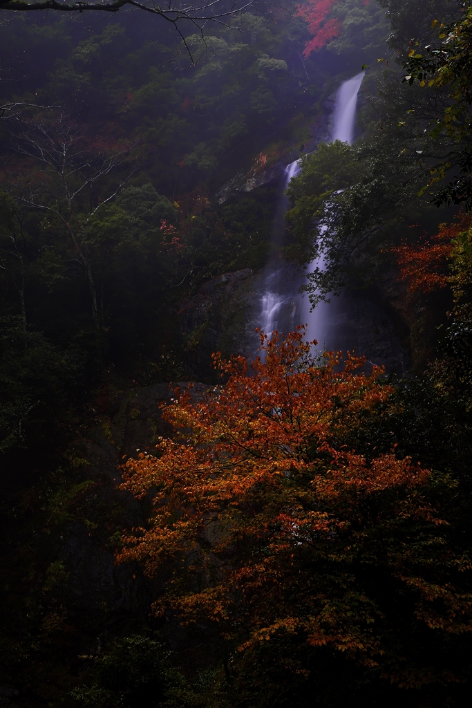 栴檀轟の滝