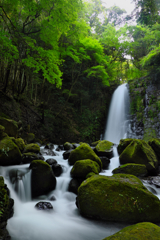 南阿蘇　　白糸の滝