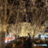 PAGEANT OF STARLIGHT ①