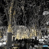 PAGEANT OF STARLIGHT ②