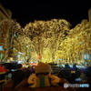 PAGEANT OF STARLIGHT ③