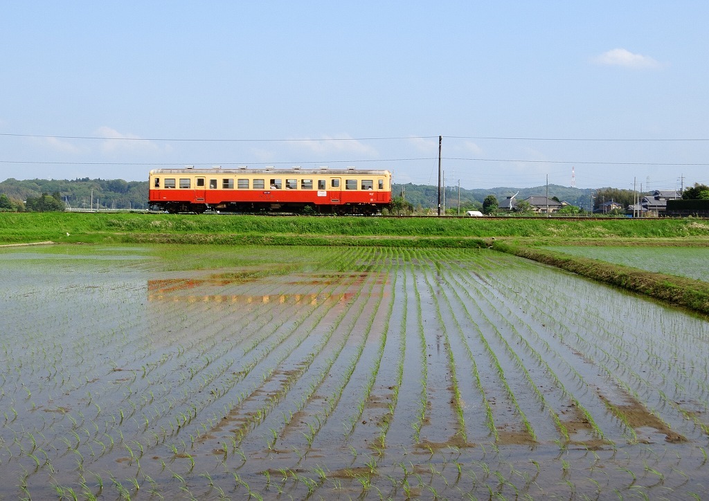 田んぼと小湊鉄道