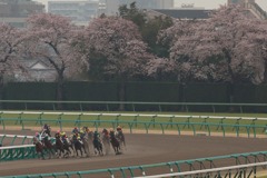 桜咲く