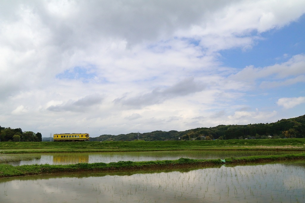 田んぼといすみ鉄道