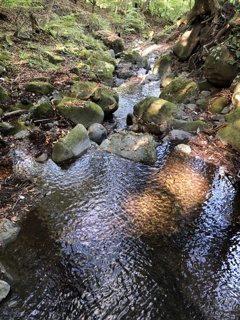 群馬県吾妻渓谷