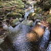 群馬県吾妻渓谷